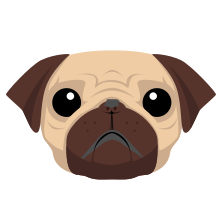 Pug